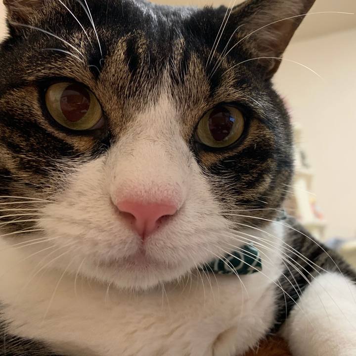 8a18501b 03d2 4b37 b500 249f86c894a1 1544880507843