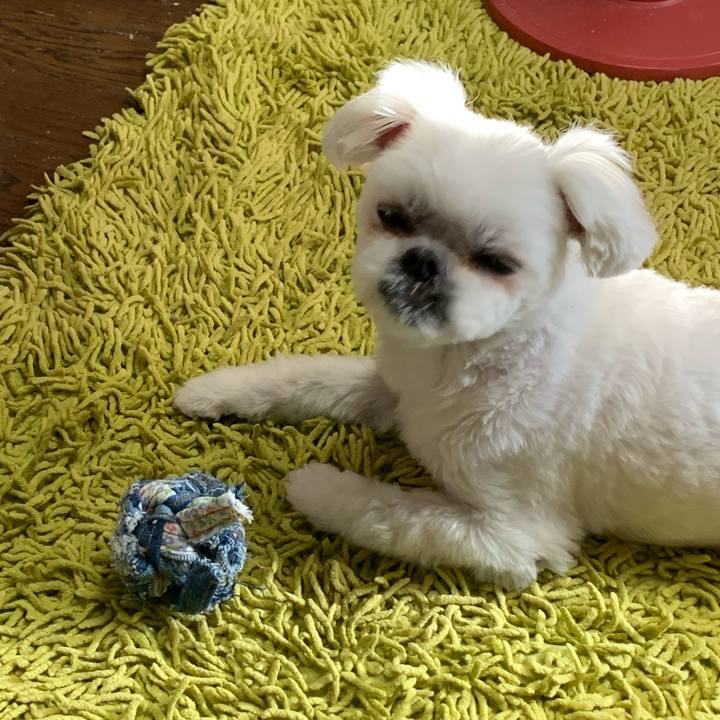 8a185f4a 6105 424c 8ca0 bed44d1137fd 1708785452410