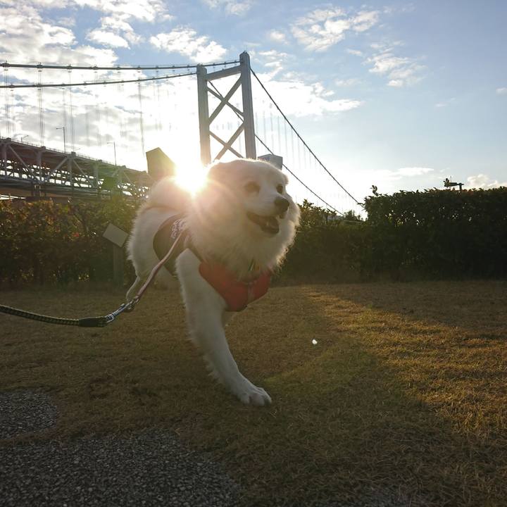 8a18614a 0b0b 4a7b afac bd92b6ed60d0 1544829725201