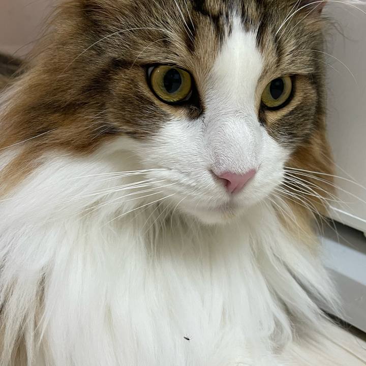 8a18979d be30 48e3 9d73 3c1d3a819bba 1669319251651