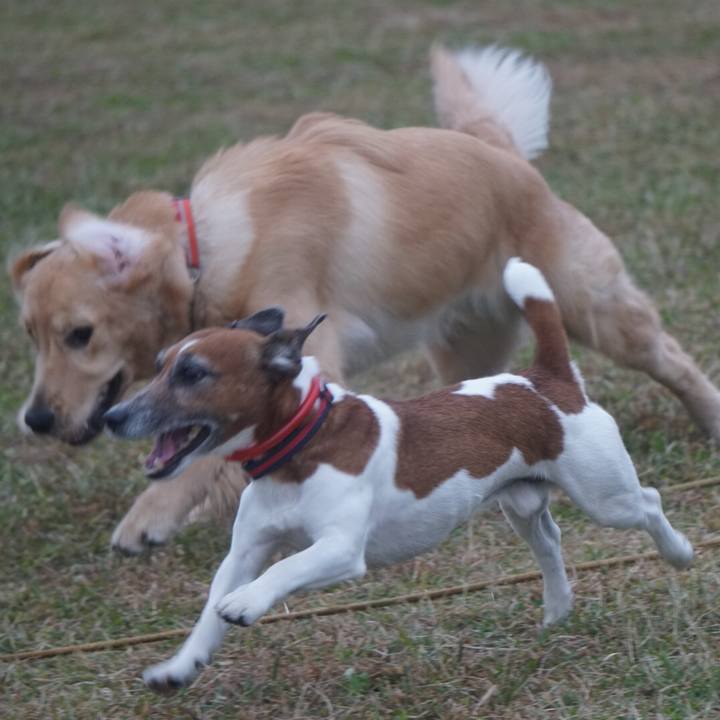 8a18ab82 aab3 428b 934e 9ee6fb9f5d1a 1604881088291