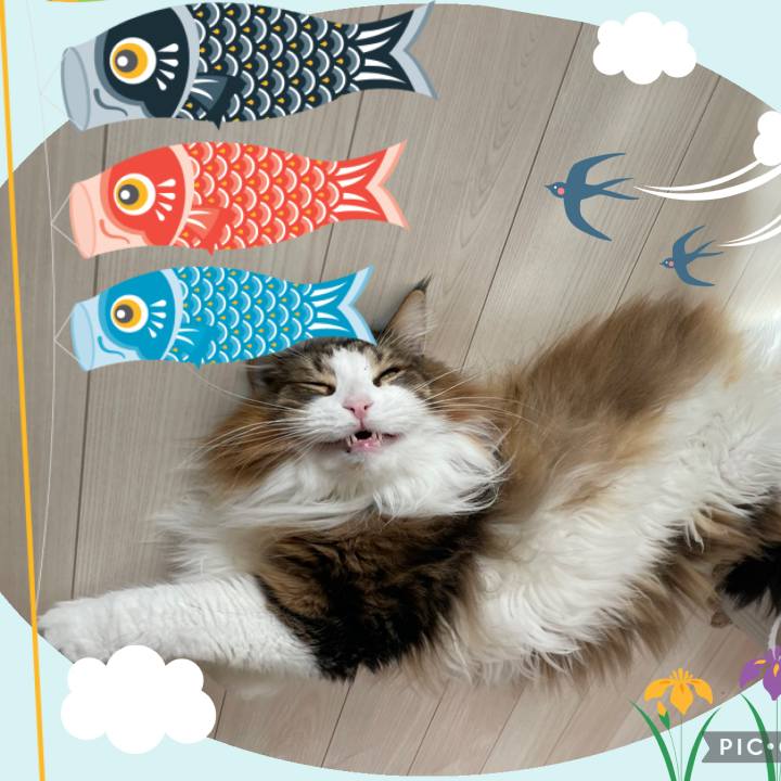 8a18acae 7315 4e4b 8cd5 ee8fcbe9a0f8 1746428929205