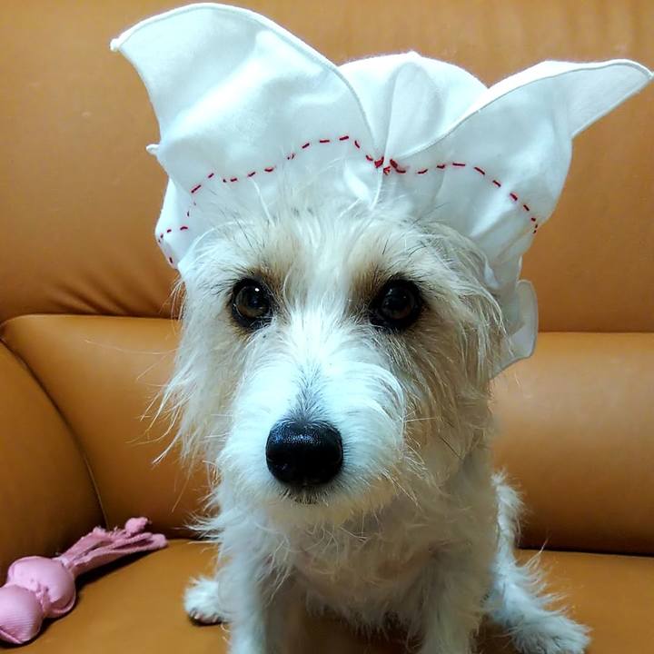 8a18b620 30bb 4302 8625 5f5ab9e9a65f 1555251878394