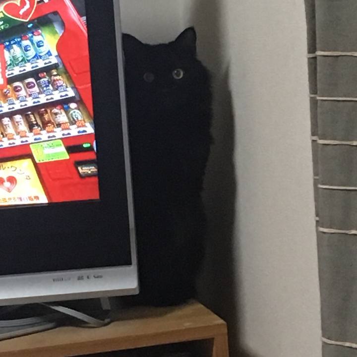 8a18d0f5 d497 4ba3 89b4 4c3b7b552376 1517320050449