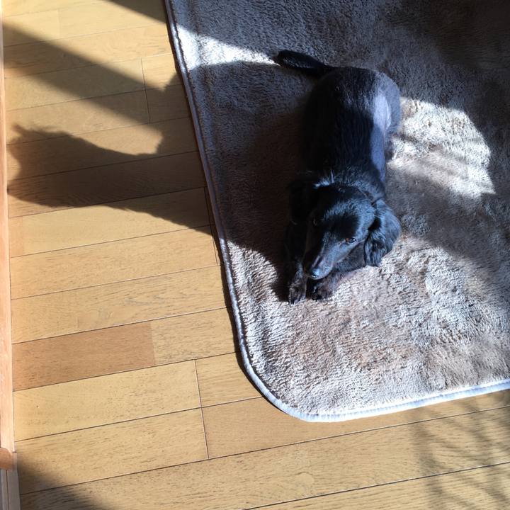 8a1947b1 c7de 46e4 8842 79698b19b05b 1523830340173