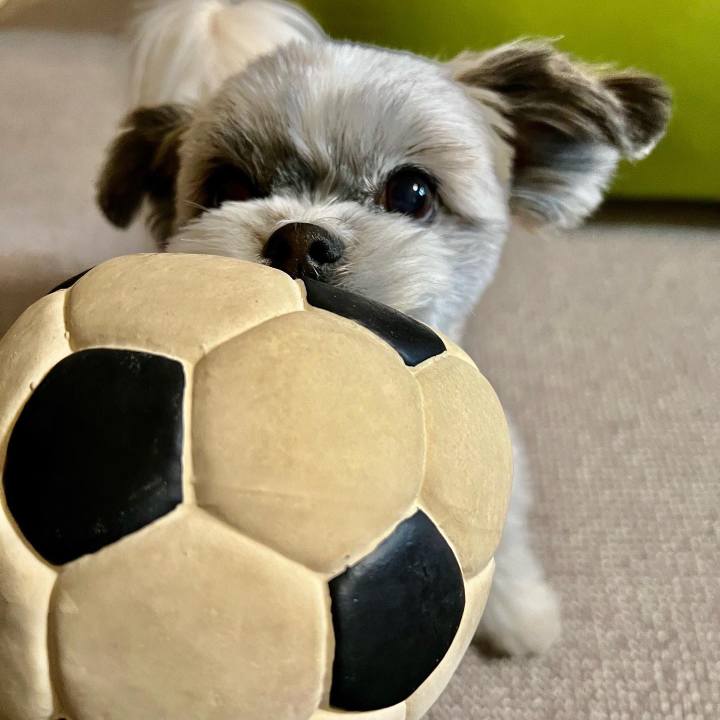 8a195818 802a 4b8a af77 e24fe6af04f6 1641474882044