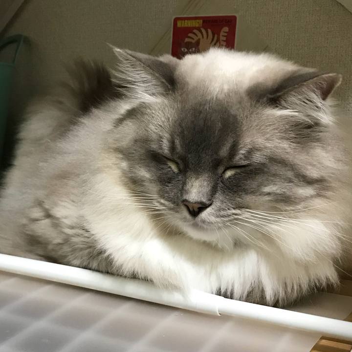 8a19d770 9fc1 462d be45 2475a6929b8c 1509964148388