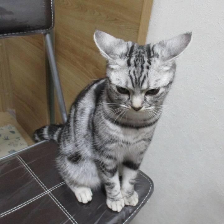 8a19f3a0 6834 4170 be94 5dfb2b76edd2 1546775886440