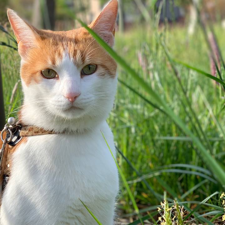 8a1a0fed c8bb 4673 8335 c15f1b2e6b00 1619823301954