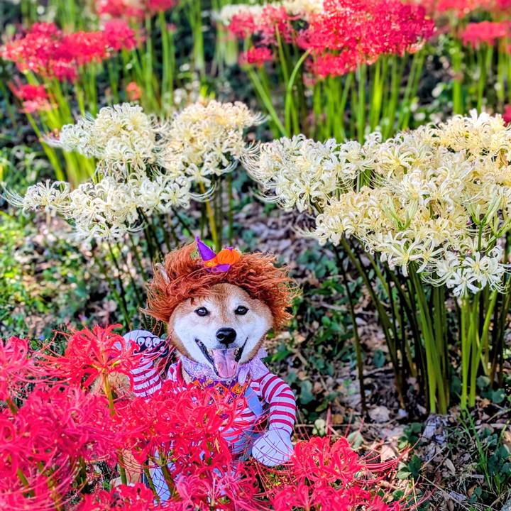 8a1a1921 fb29 45e6 ae72 65f1cee1162a 1758931690127