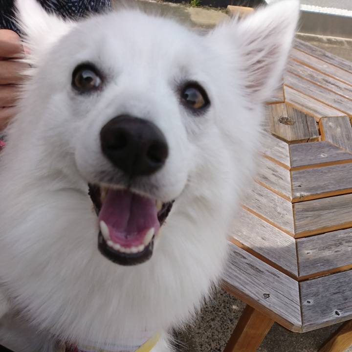 8a1a2717 dee2 409f a106 79bf8d7d6521 1534671362026