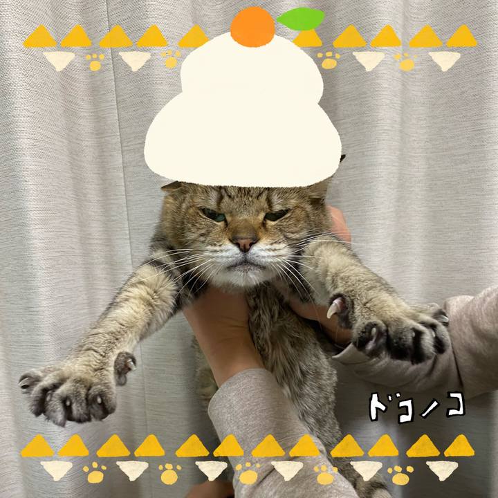 8a1a3a59 aef9 4825 8a44 f6279864f4ef 1704157109145