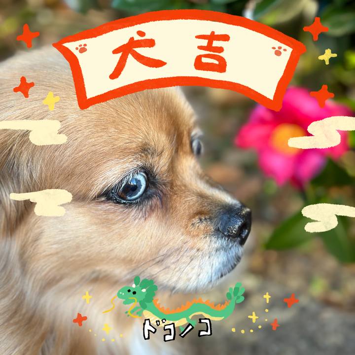 8a1a5ae2 cf53 4a21 b477 32e69a2da4ca 1704075174498