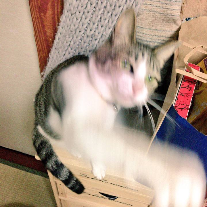 8a1a9283 4d84 43bd ad4b b41f2e7ff4aa 1515415658009