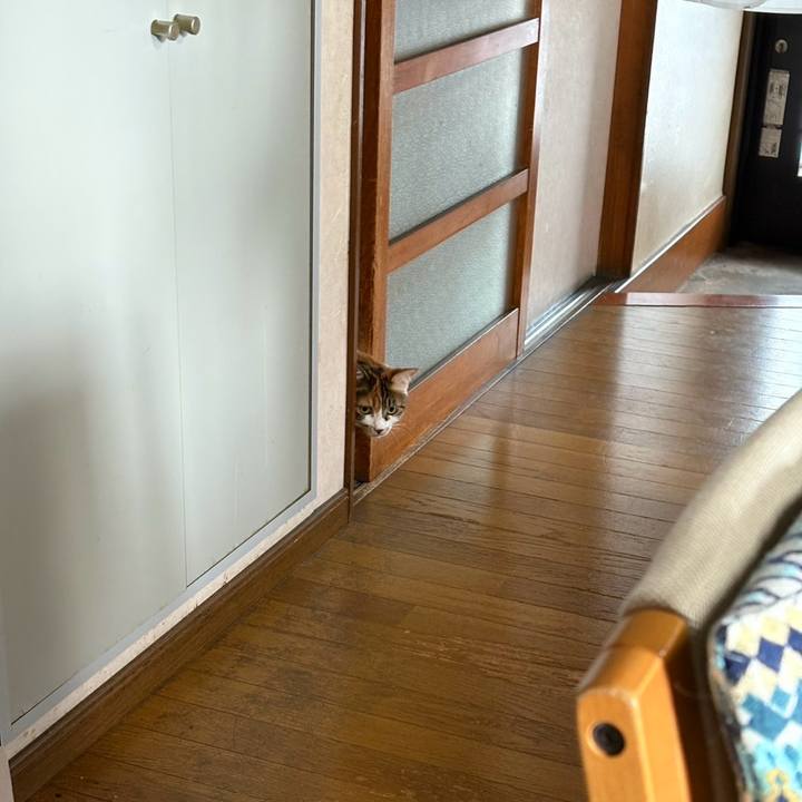 8a1aa8aa 2244 4632 9058 30685c5b9107 1754704606372