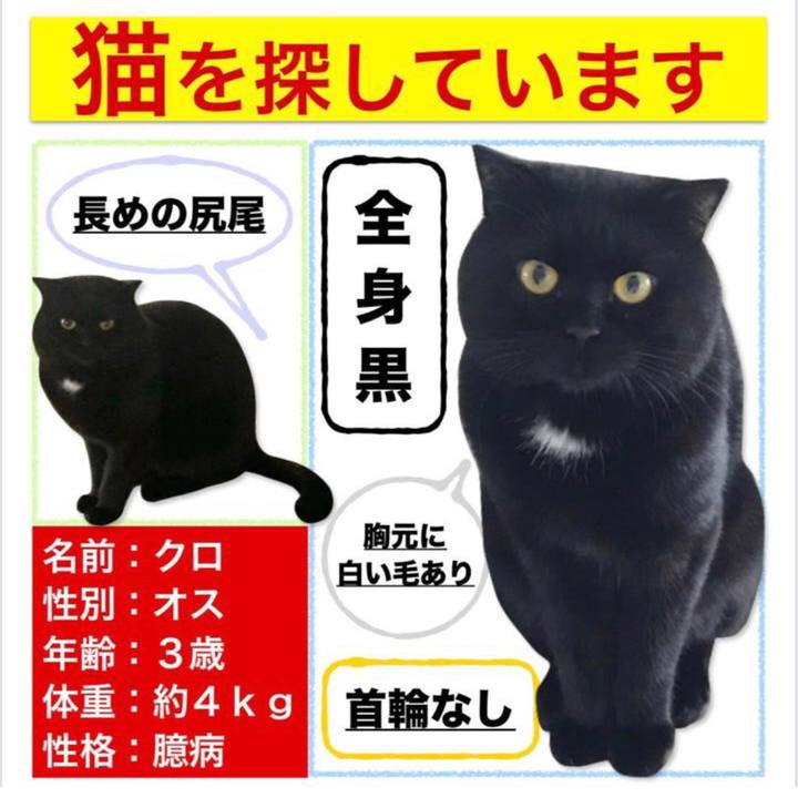 8a1acb8a f8d5 4102 a900 4c392db48c35 1581575885645