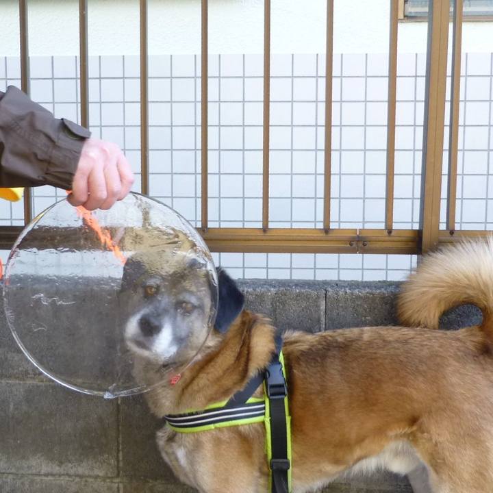 8a1b383f 96d9 42ab 9df8 6214cdeabe88 1581209682573