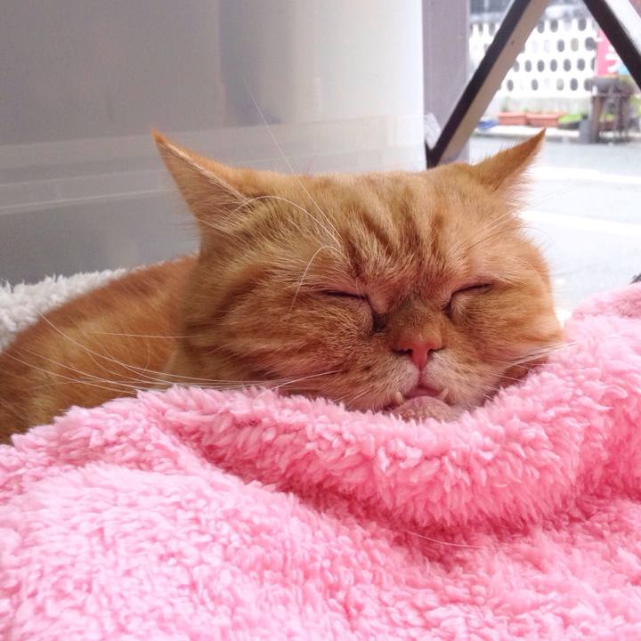 8a1b3d2d 22d3 43b1 ae59 b9f5bd0cf7e9 1526683412574