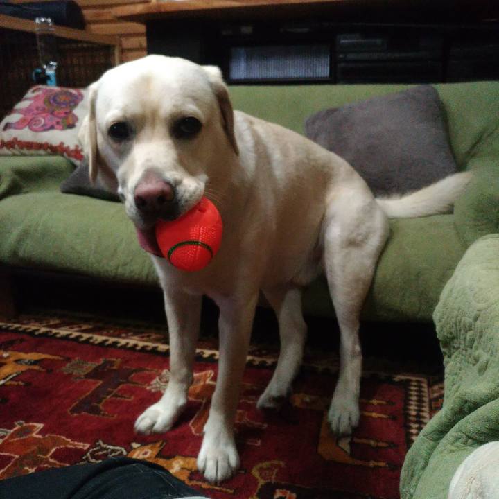 8a1b492a c7d2 410f a11e b51e833749c4 1523273896941