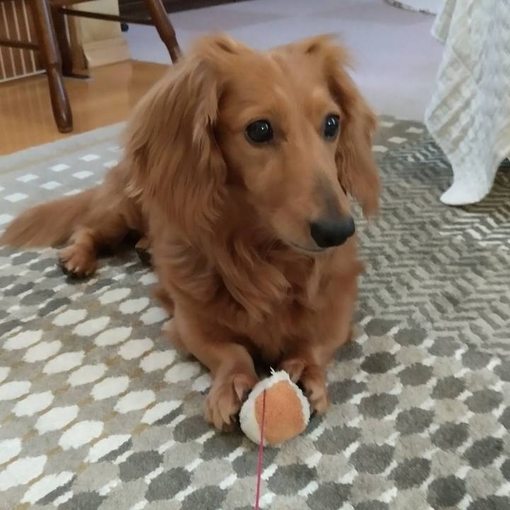 8a1b702b 59b6 4f5e aced 45519613b792 1627999632215