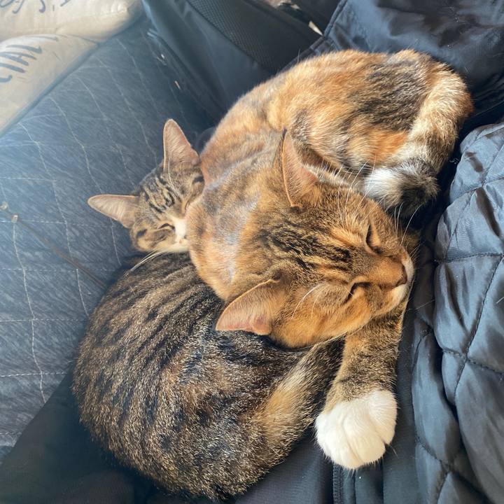 8a1b9c88 1758 4aa6 87f0 934e0021aa4e 1635401142480