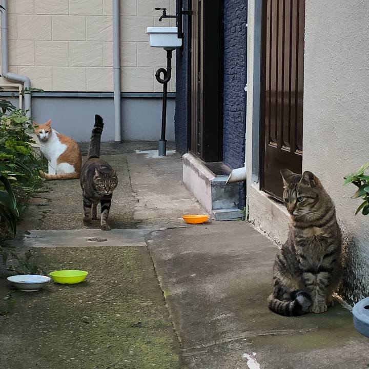 8a1baea1 fbc3 461c b83b fcf329f6592a 1538144537732