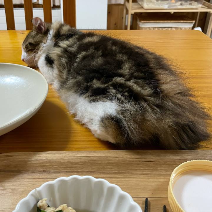 8a1bb051 92e0 43ac abe2 19784a9859b4 1635157901261