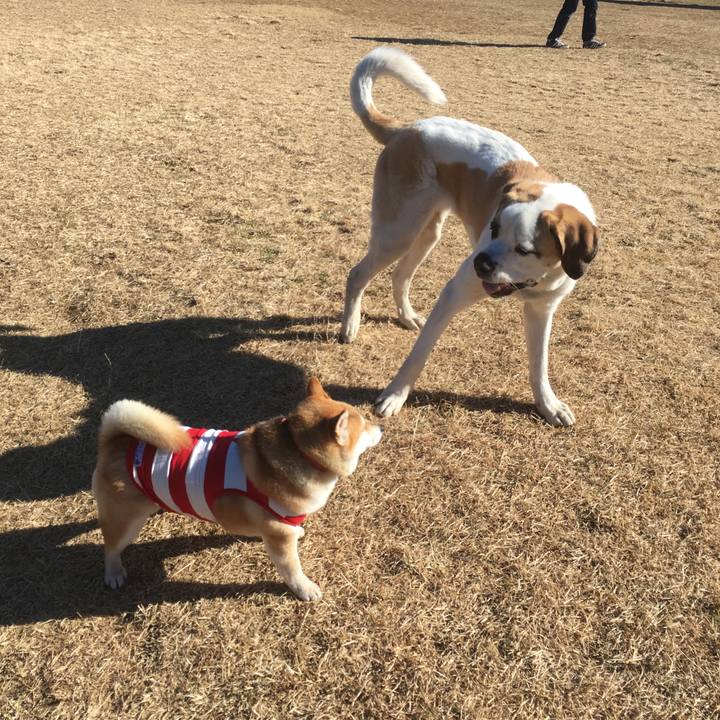 8a1c0121 b943 4db2 a32c 3f0edf5a7915 1548572049103