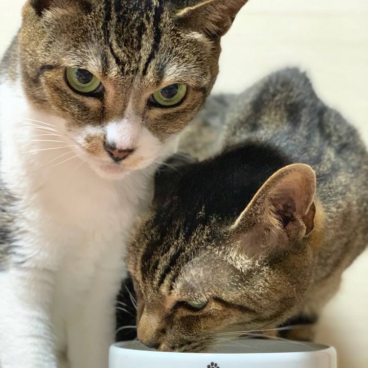 8a1c18b0 653d 4fe5 9b73 8992b7a04713 1594688366395