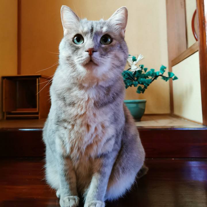 8a1c36a2 3873 4546 b0b4 966aa996e5d2 1624150510202