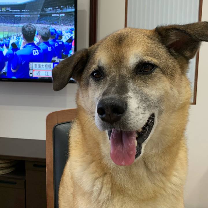 8a1c51a6 ab37 441f be90 33e5eede71c4 1565495662829