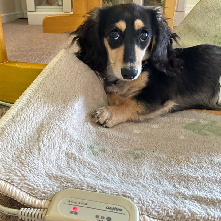 8a1c7c04 4fc6 4fb0 ac09 5455b0cdde87 1674519040382