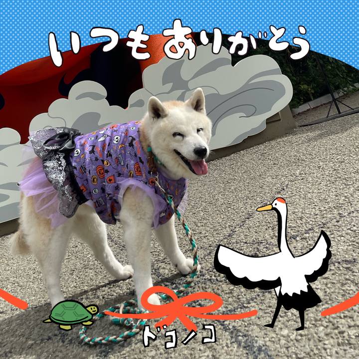 8a1cb229 891c 4e53 9413 eb49fa197d6c 1726926597184