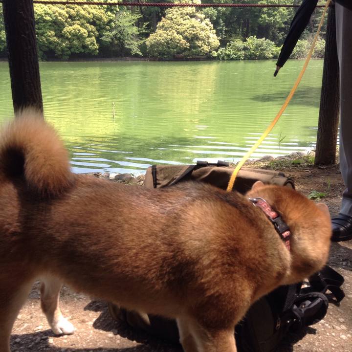 8a1cbfcd 19e9 4032 8d4c 2e6c37f899bc 1526625317429