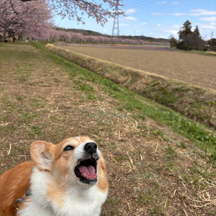 8a1cc835 5751 4e73 b978 aa2989283797 1773642371983