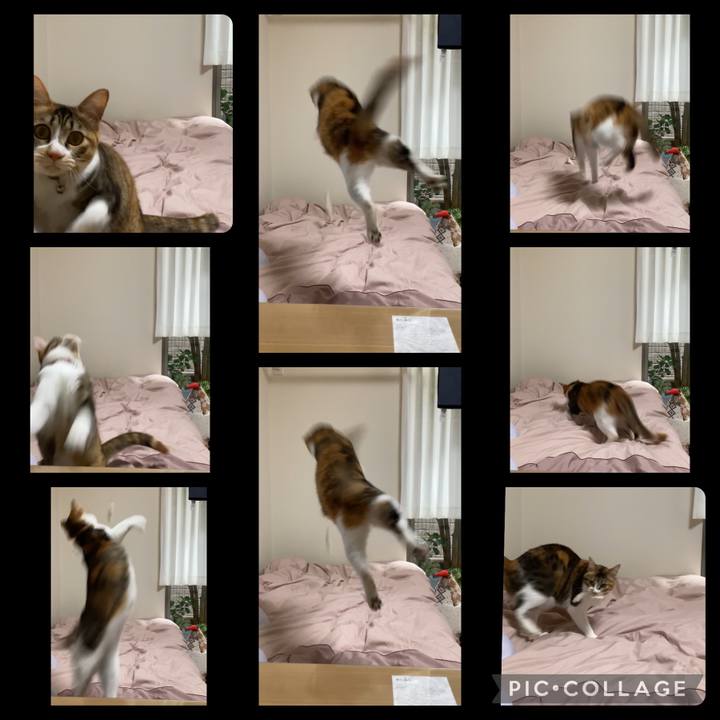 8a1ce068 4bc9 4bb4 ad90 fef3bf93ca74 1684552116772