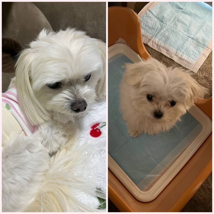 8a1d00fc 9344 41b8 9ad0 396fa8d05109 1702982097855