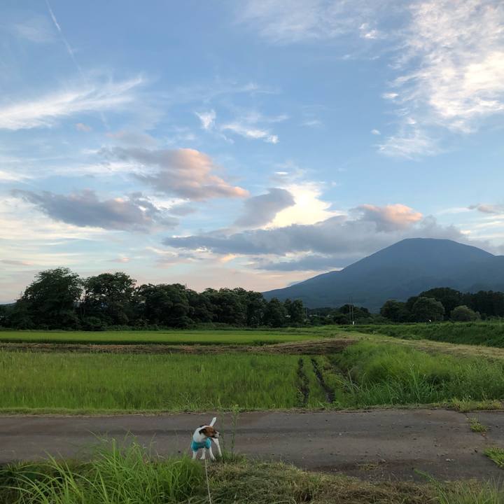 8a1d27f3 0197 4484 a048 d1b0407b0c19 1565954182607