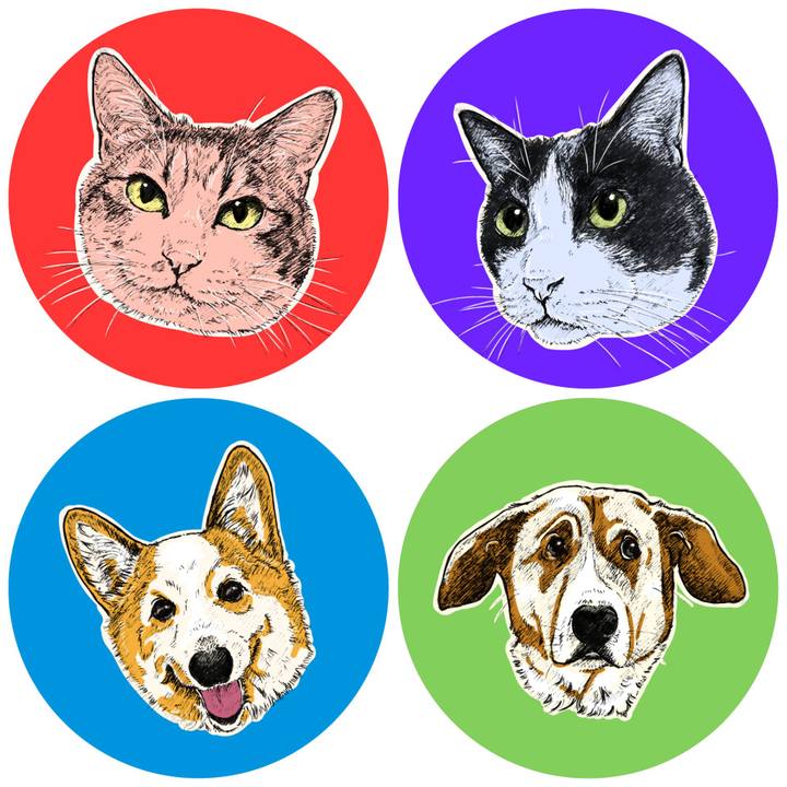 8a1d2eea 1c2c 4600 af6b 877474758682 1633617138630