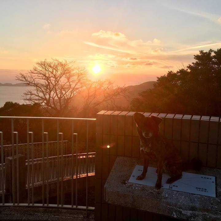 8a1d4bbb e561 4545 acda 75bdc9756809 1549377335502