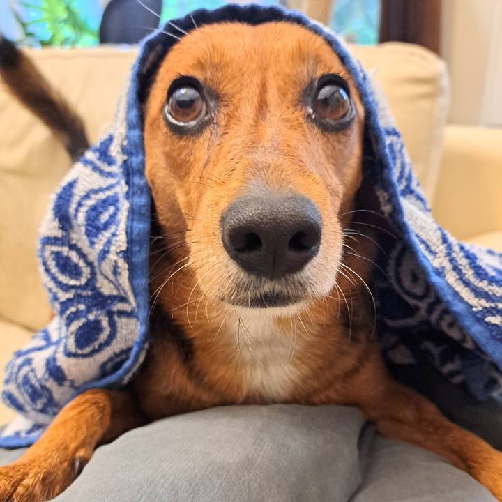 8a1d5627 ee8b 4e40 b9c5 4a479866c500 1758805375323