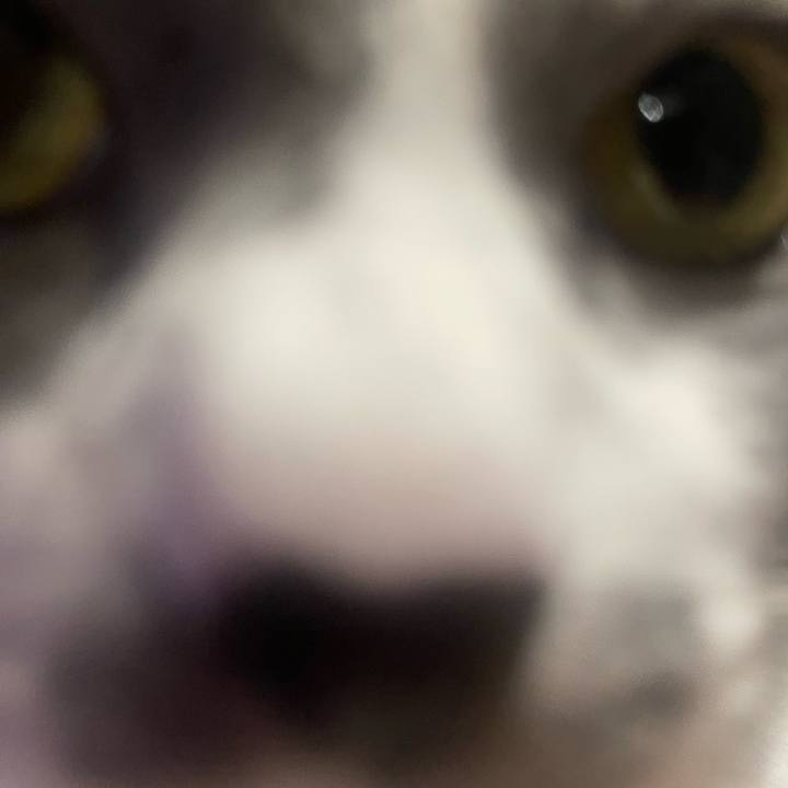 8a1d6841 292e 40c6 bd1c 384416ef3de6 1699452513935