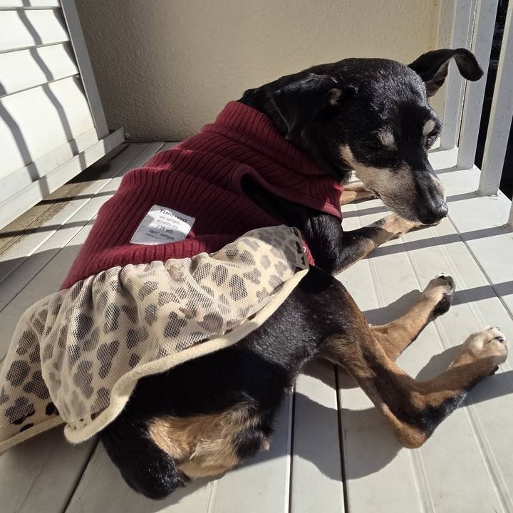 8a1d76bd 17ea 445f 849f 6cda31bcd366 1765946254661