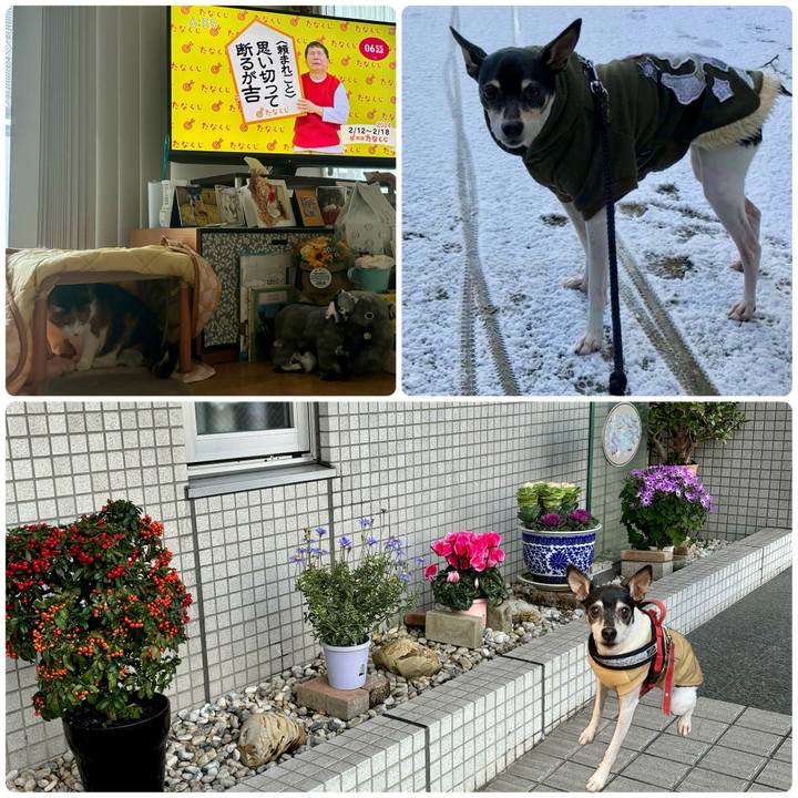 8a1d87a8 8747 4fb7 8475 eab8785c266c 1707691015377