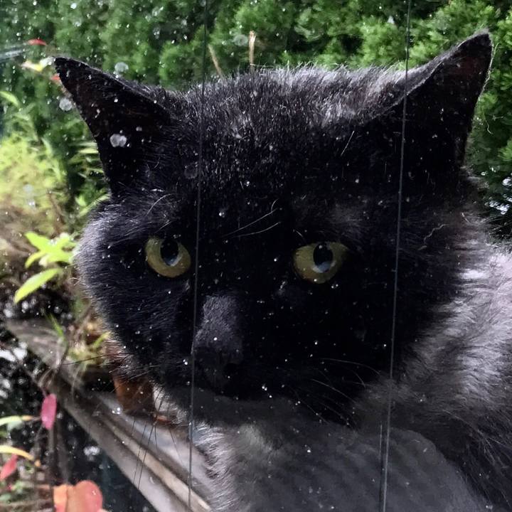 8a1d90d1 ee1d 47de b1ca 17bfd9dcdd28 1508917531915