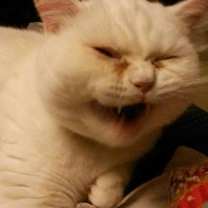 8a1dac90 f223 4b73 98b5 ec4bf25ec57f 1551015578747