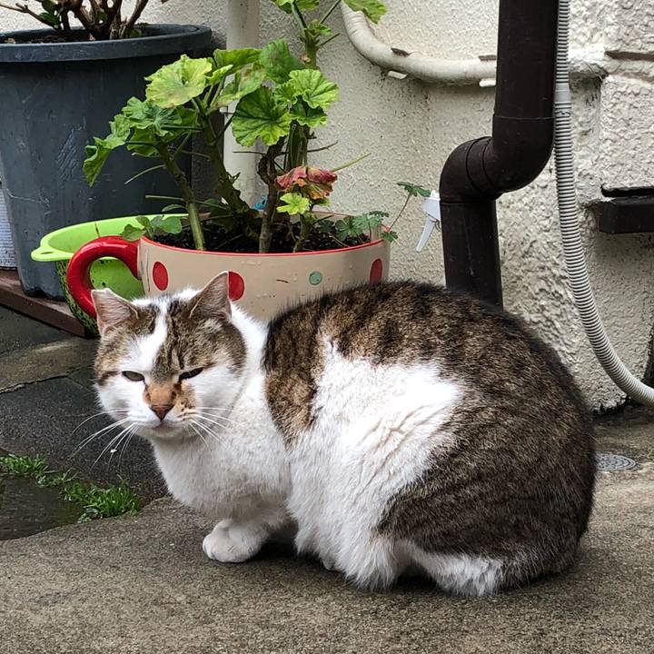 8a1db0b6 b3b3 427f 99d5 cff9ddacad00 1521537132632