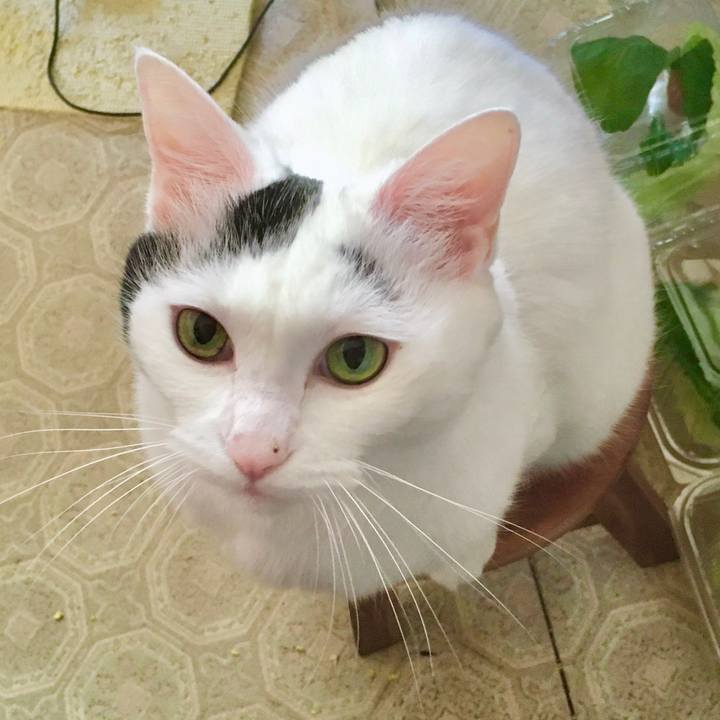 8a1db947 89dc 4711 aa97 d4857d04ba3f 1571211100133