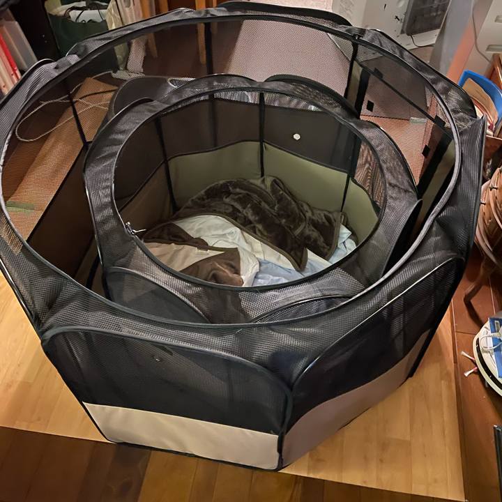 8a1dc13d 8df5 40bd a350 857ea382ab5a 1640618173620