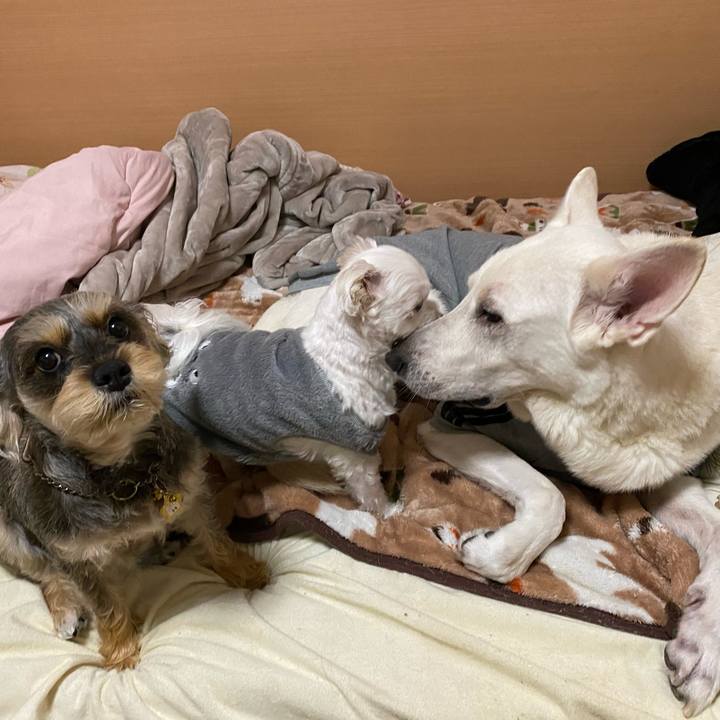 8a1e17f7 e61e 433f a8b1 833ec833b5cc 1579848822455